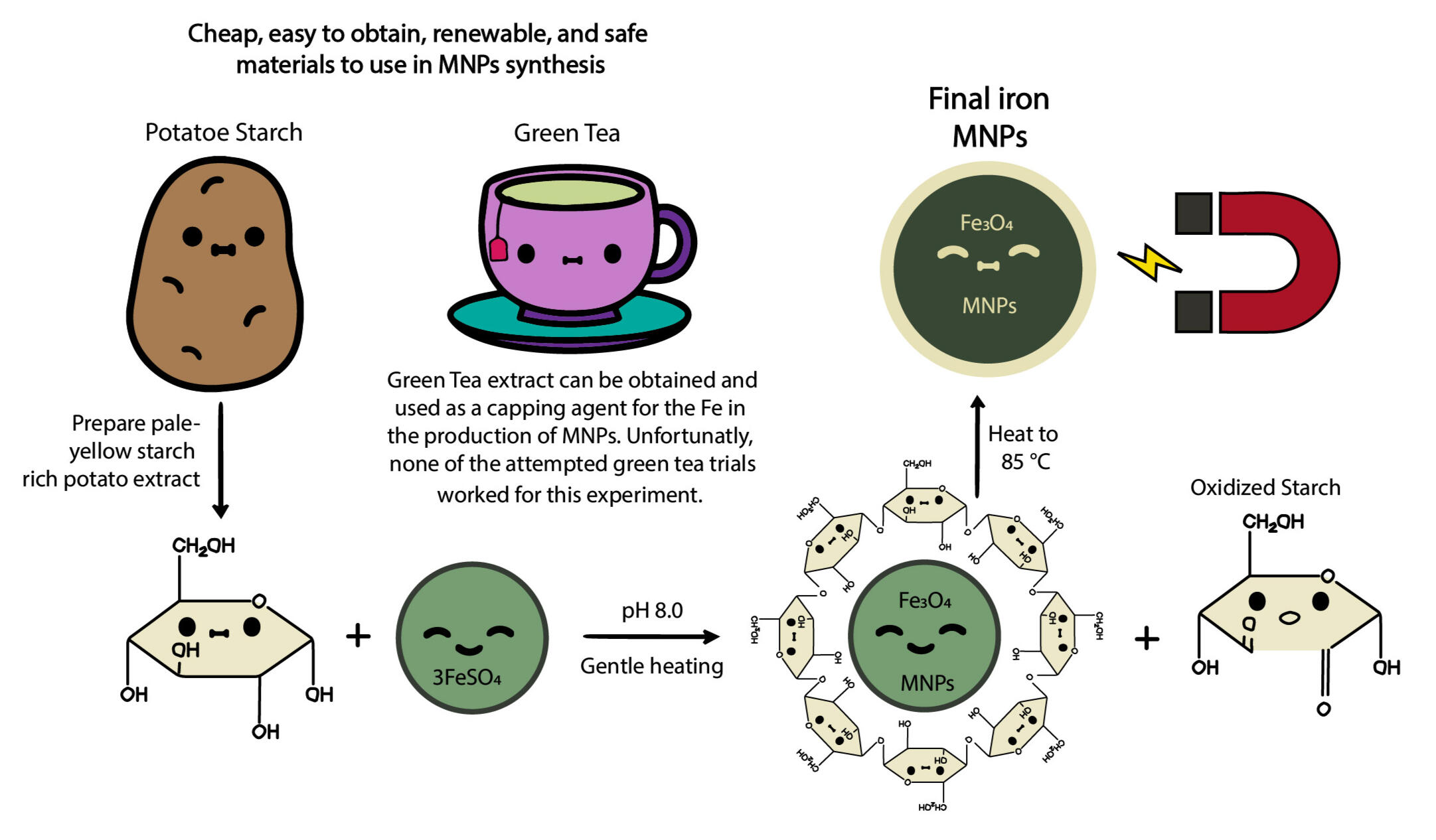 Synthesis of Magnetic Iron Nanoparticles using Sustainably Sources Capping Ligands - 8" x 5" - 2022
