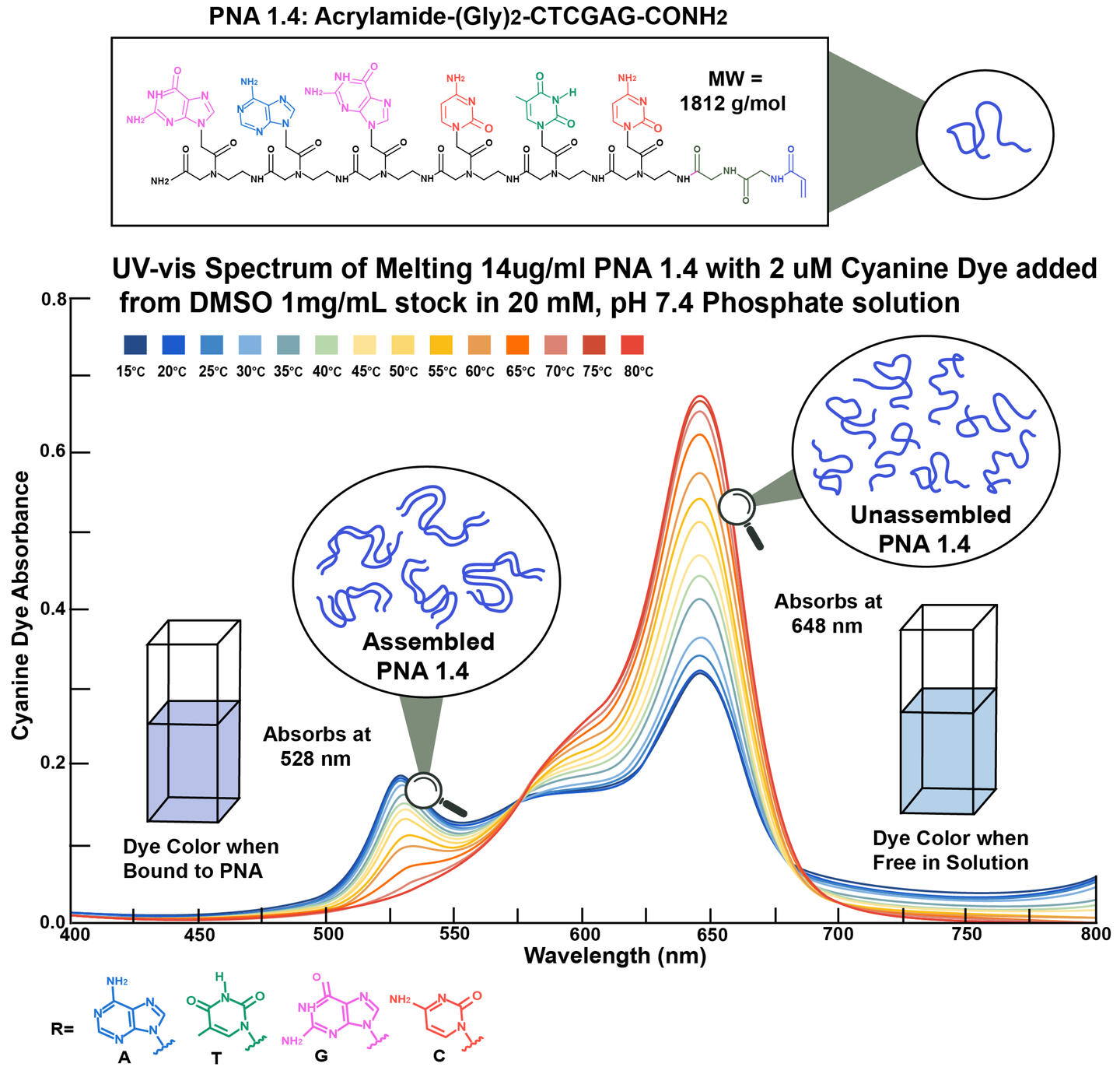PNA assembly and melting point UV-vis data - 2022