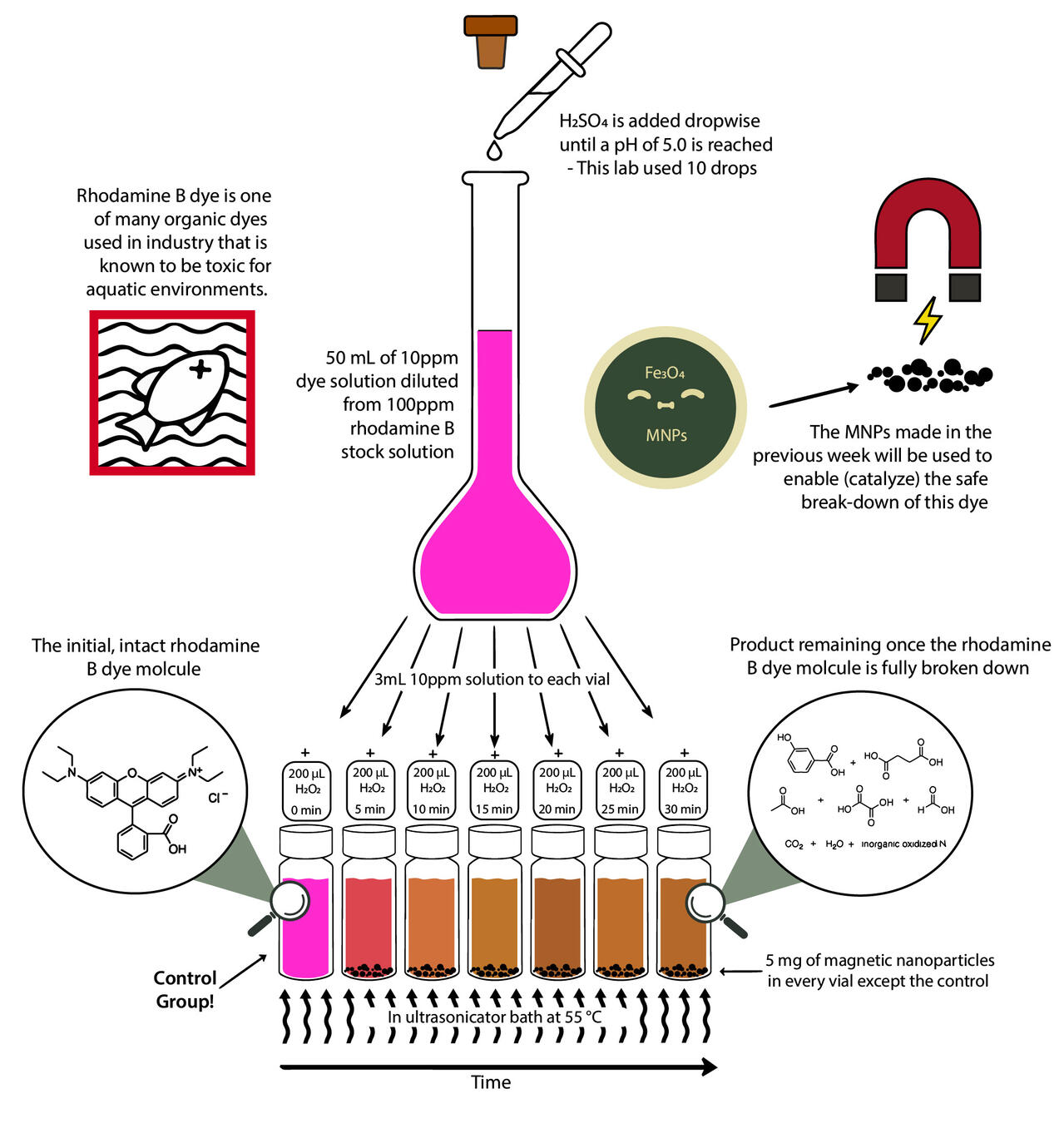 Rhodamine B Dye Degradation into Environmentally Benign Products via Magnetic Iron Nanoparticles - 6.7" x 7" - 2022
