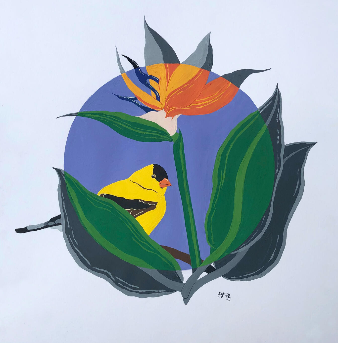 Birds of Paradise 1 - 11" x 17" - 2020
